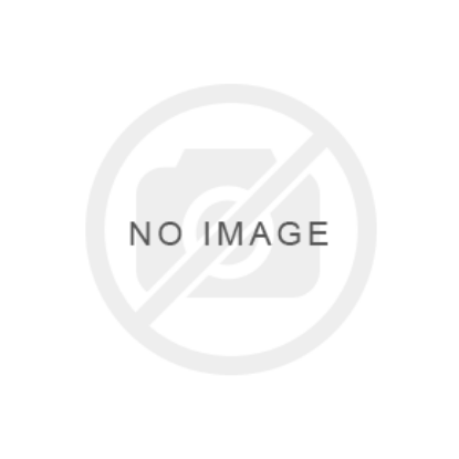 SecuTec Dorso Back Brace